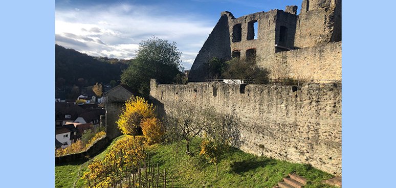 Der Südzwinger der Burg mit dem Wingert